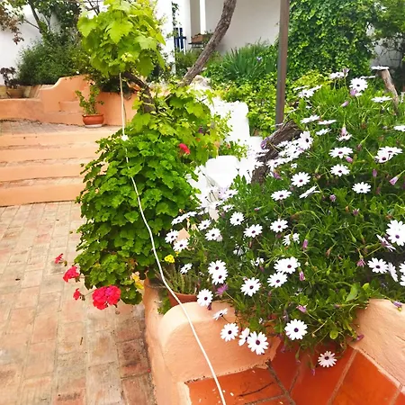 度假居 Casa Algiana - Private Pool